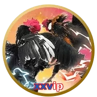 xxvip